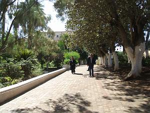 AIN TEMOUCHENT JARDIN PUBLIC 045